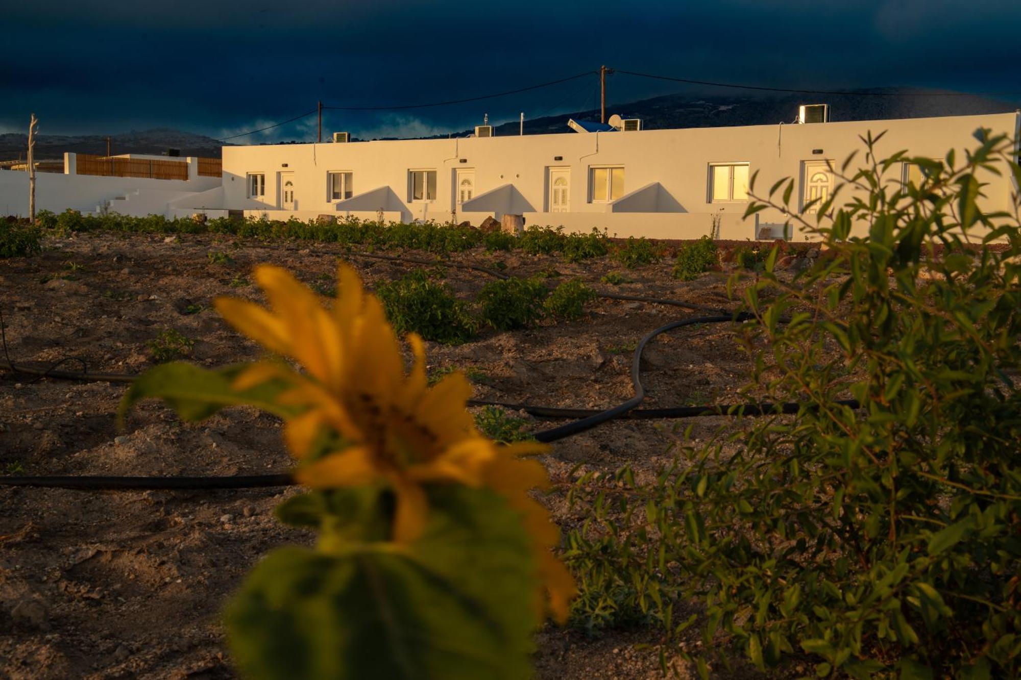 Calma Eco Sunset View Holiday home Emporio (Santorini)
