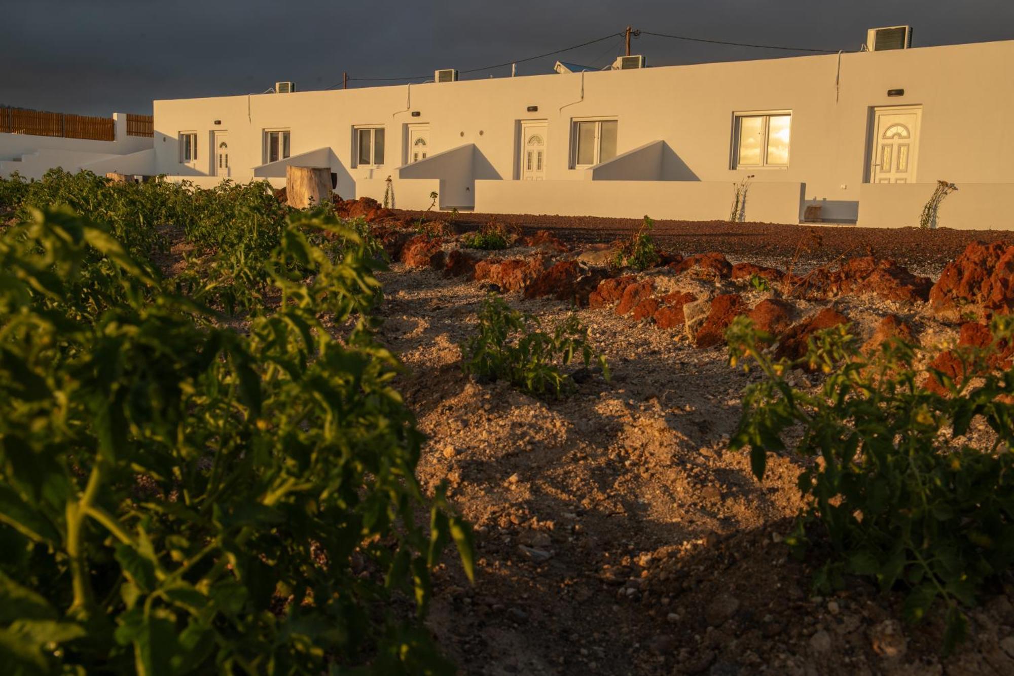 Calma Eco Sunset View *